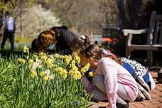 Spring Discoveries: A Vacation Week Program Just for Kids!