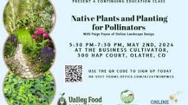 Native Plants and Planting for Pollinators