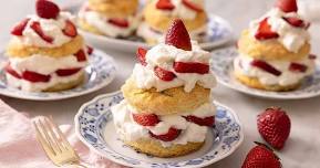 Strawberry Shortcake Social