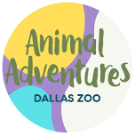 Animal Adventures