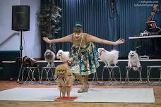 Circus Dog Show Menestrelli