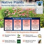 Native Plants