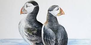 NWAS: Lorraine Auton - puffins