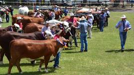 Bangalow Show