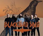 Blackbird Sing Live! At Texas Music Cafe®