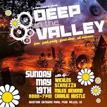 DEEP IN THE VALLEY: a dance music picnic