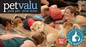 Pet Valu Puppy Yoga