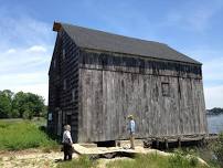 Lefferts Tide Mill & Preserve Tour