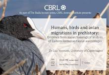 Humans, birds and avian migrations in prehistory: Evidence from zooarchaeological analysis