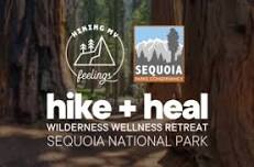 Hike + Heal Sequoia National Park