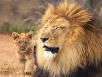 Father's Day Cookout at Fort Worth Zoo