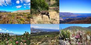 Soulful Honingklip Farm Fynbos Trail, with stunning Mountain Views & Sea Views