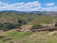 Property Brokers Tararua Sheep & Beef Farm Business of the Year Field Day