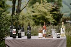 Montrose Wine & Food Festival  — Buckel Family Wine