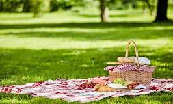 Big Sunday & Picnic