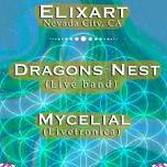 Mycelial & Dragon's Nest