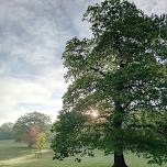 Yoga , Cacao and Sound in Nature