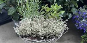 Make Your Own Herb Planter