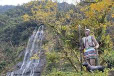 Private Forest Trail Day Tour in New Taipei Neidong National Forest Recreation Area