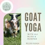 Goat Yoga @ The Studio Bespoke