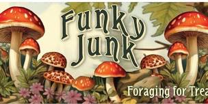 WELCOME TO FUNKY JUNK™