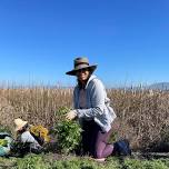 Weeding for Wildlife