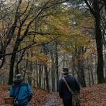 Wild mushroom foraging and feast - Autumn