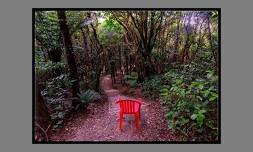 The Red Chair Project by Simon Woolf