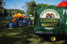 Mamakating Farmers Market Opening Day