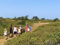 Free Nature Walk on Nantucket Island — Linda Loring Nature Foundation