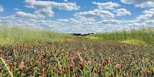 2024 Climate Smart Cover Crop Field Day