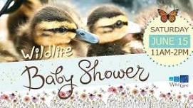 Wildlife Baby Shower