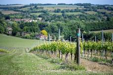 English Wine Week - Nation of Winemakers