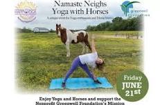 Namaste Neighs Yoga with Horses