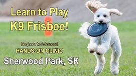 Dog Frisbee Clinic |  Sherwood, Alberta