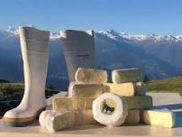 Discovering the cheeses of the Colombire mountain pasture