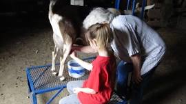 Kids Farm and Ranch Day