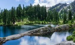 Rampart Lakes via Rachel Lake