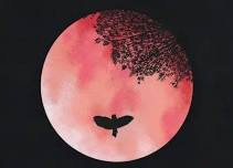 Free Spirits Join Us for the 4/23 PINK FULL MOON Community Drum Circle