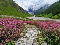 Valley of Flowers Trek 5N/6D  [Starts From Rs.7999]