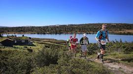 Birken Fjellmaraton