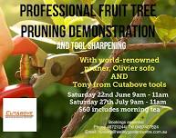 Olivier Sofo's Fruit Tree Pruning Class