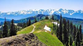 NSHC Annual Hike Event - Hurricane Ridge