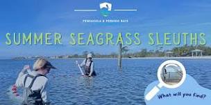 Summer Seagrass Sleuths - Boat Transportation Provided