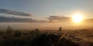 Guided walk, Dersingham Bog, National Nature Reserves Week 2024