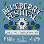 Blueberry Festival