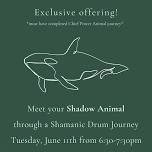 Shamanic Drum Journey - Shadow