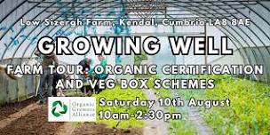 Growing Well Farm Tour: Organic Certification and Veg Box Schemes