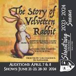 THE STORY OF VELVETEEN RABBIT