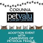 Corunna Pet Valu Adoption Event with Caregivers of Petrolia Ferals